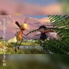 Event-Teaser